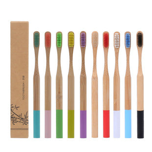 Bamboo Personal Care | Bamboo Toothbrushes | Reusable Bamboo Toothbrush with Round Handle – Eco-Friendly for Home, Hotels & Travel Wholesale EXW