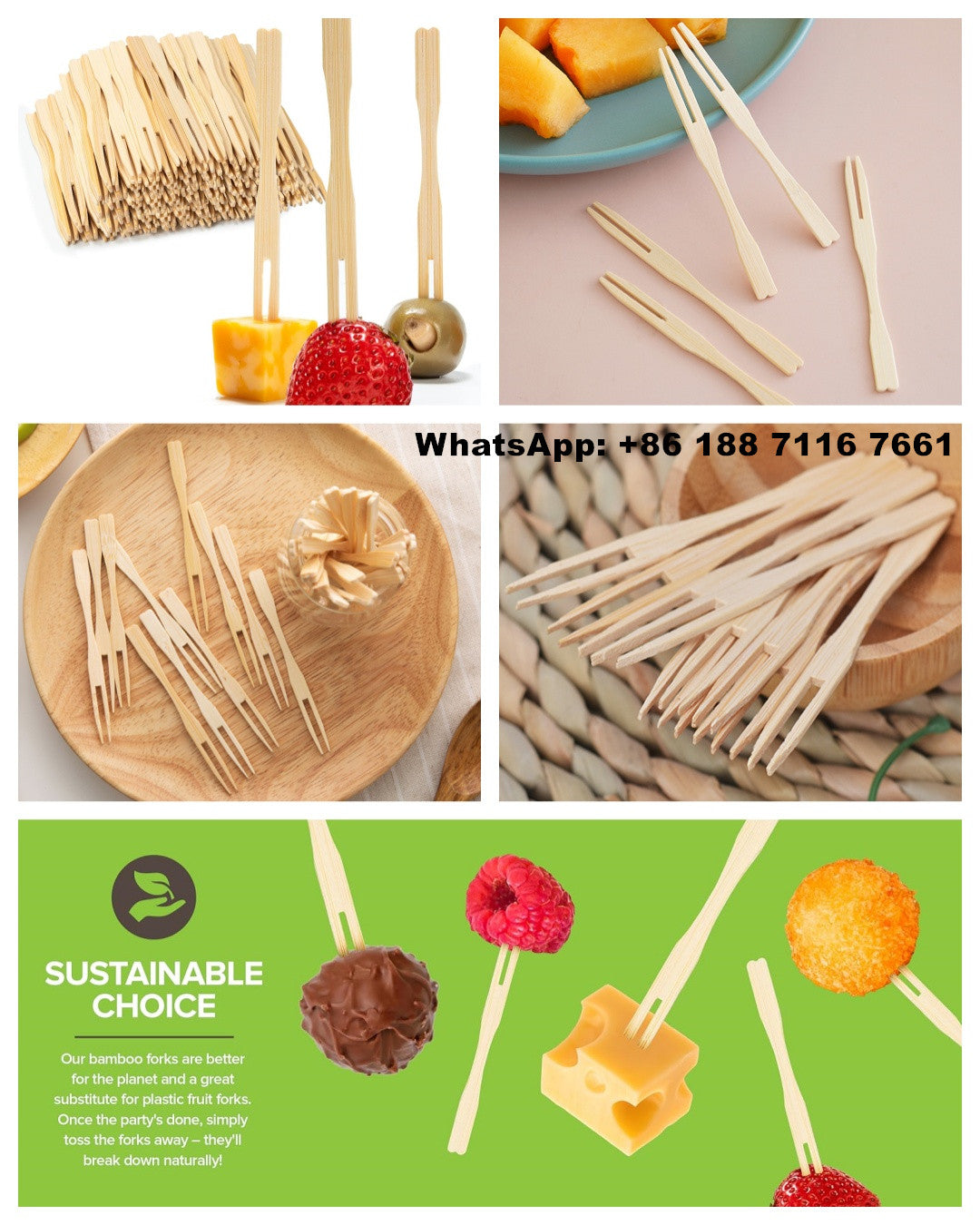 BambooLife.store Catering Supplies – Bamboo Disposable Products & EXW Price List for Wholesale