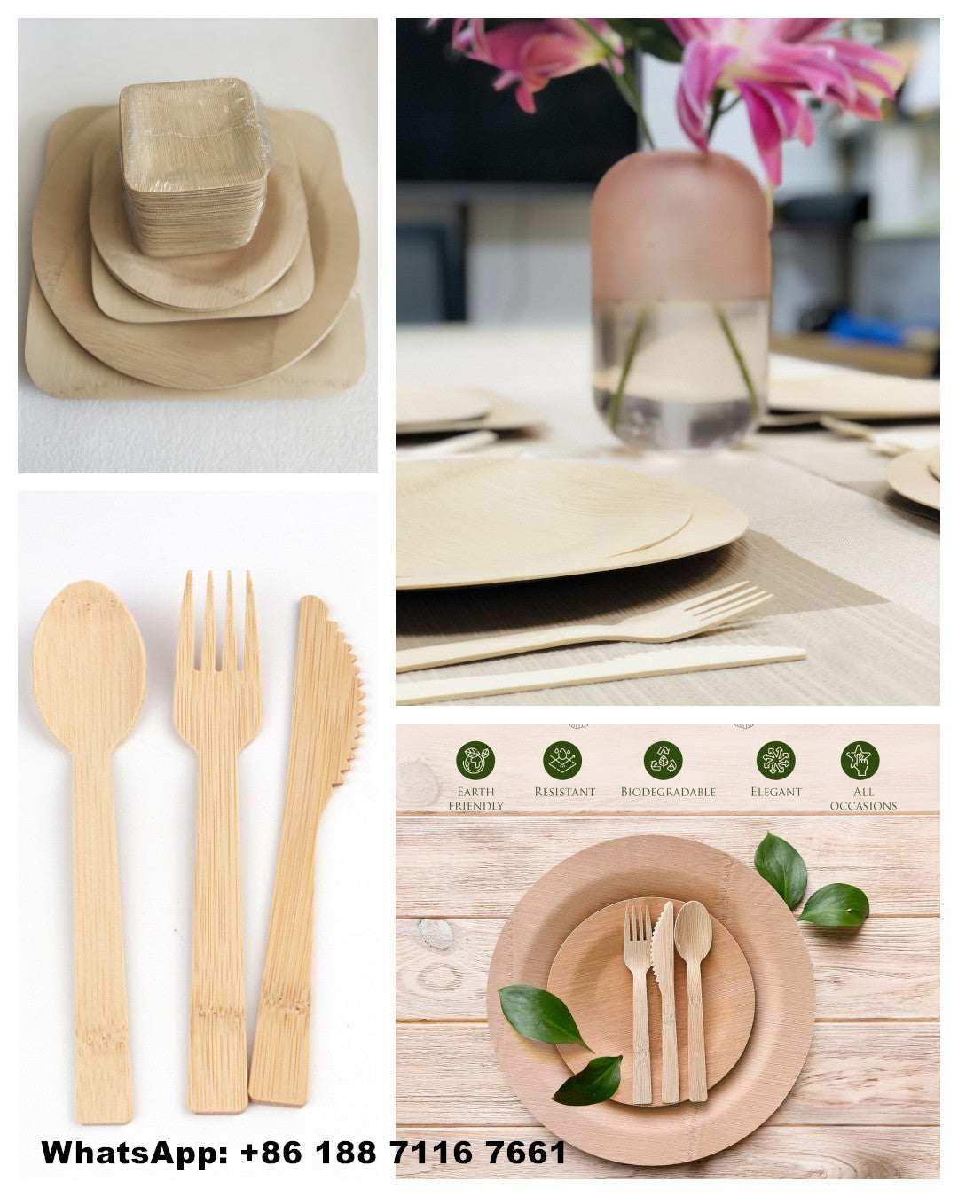 BambooLife.store Catering Supplies – Bamboo Disposable Products & EXW Price List for Wholesale