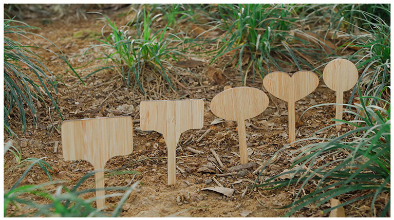 bamboomake.cn Bamboo plant label 250506 (1).jpg